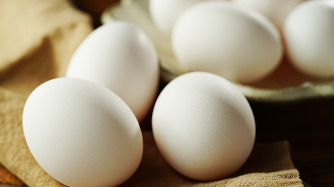 鶏卵事業部画像イメージ