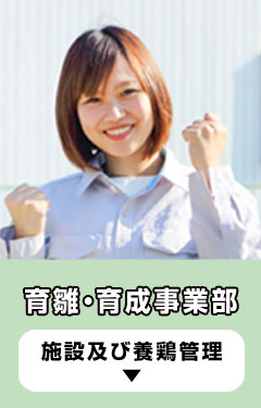 育雛・育成事業部