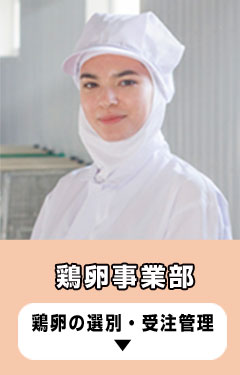 鶏卵事業部